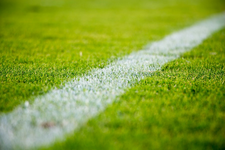 星空在线手机版（大中国区·城市马拉松系列赛运营案例